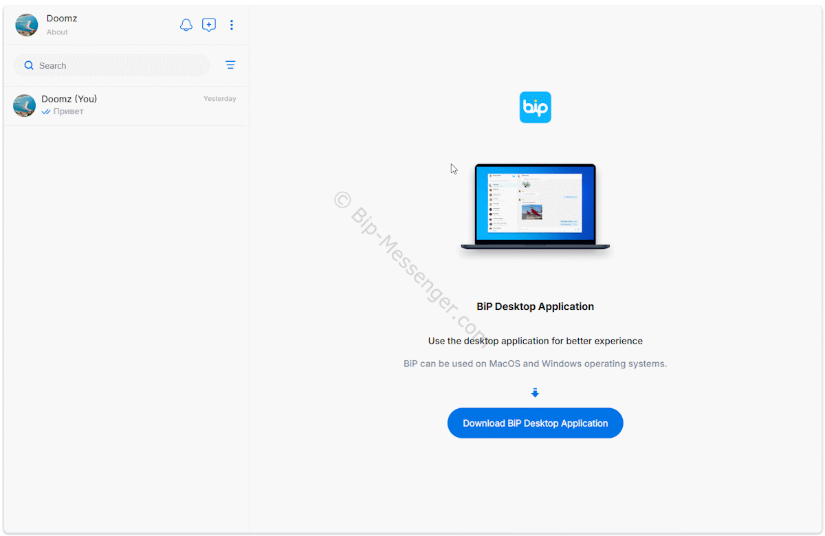 Главный экран BIP WEB