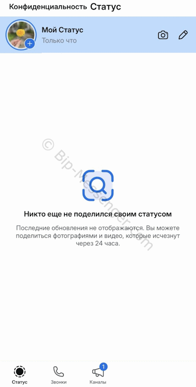 Экран статуса в мессенджере