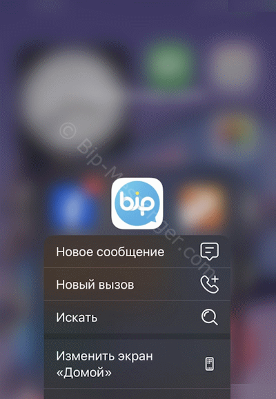 Быстрые функции Bip на экране iPhone