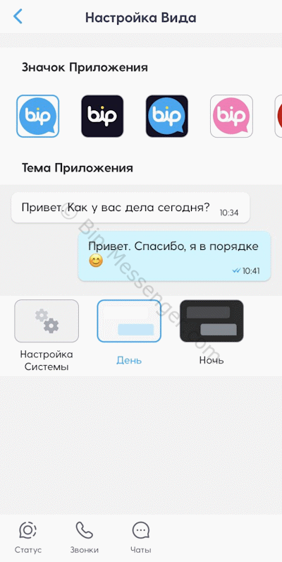 Настройка вида иконки и интерфейса чата в BIP
